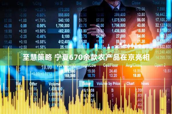 至慧策略 宁夏670余款农产品在京亮相