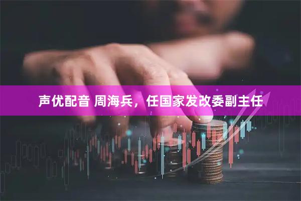 声优配音 周海兵，任国家发改委副主任