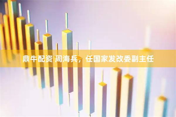 鼎牛配资 周海兵，任国家发改委副主任