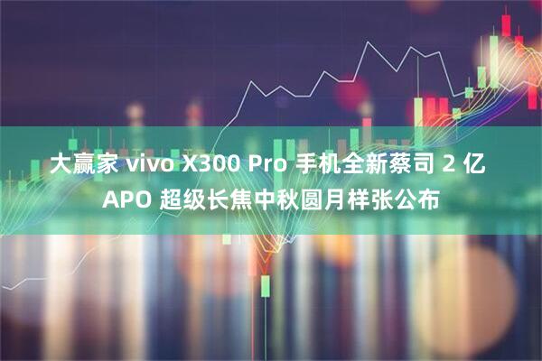 大赢家 vivo X300 Pro 手机全新蔡司 2 亿 APO 超级长焦中秋圆月样张公布