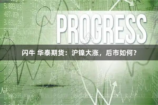 闪牛 华泰期货：沪镍大涨，后市如何？